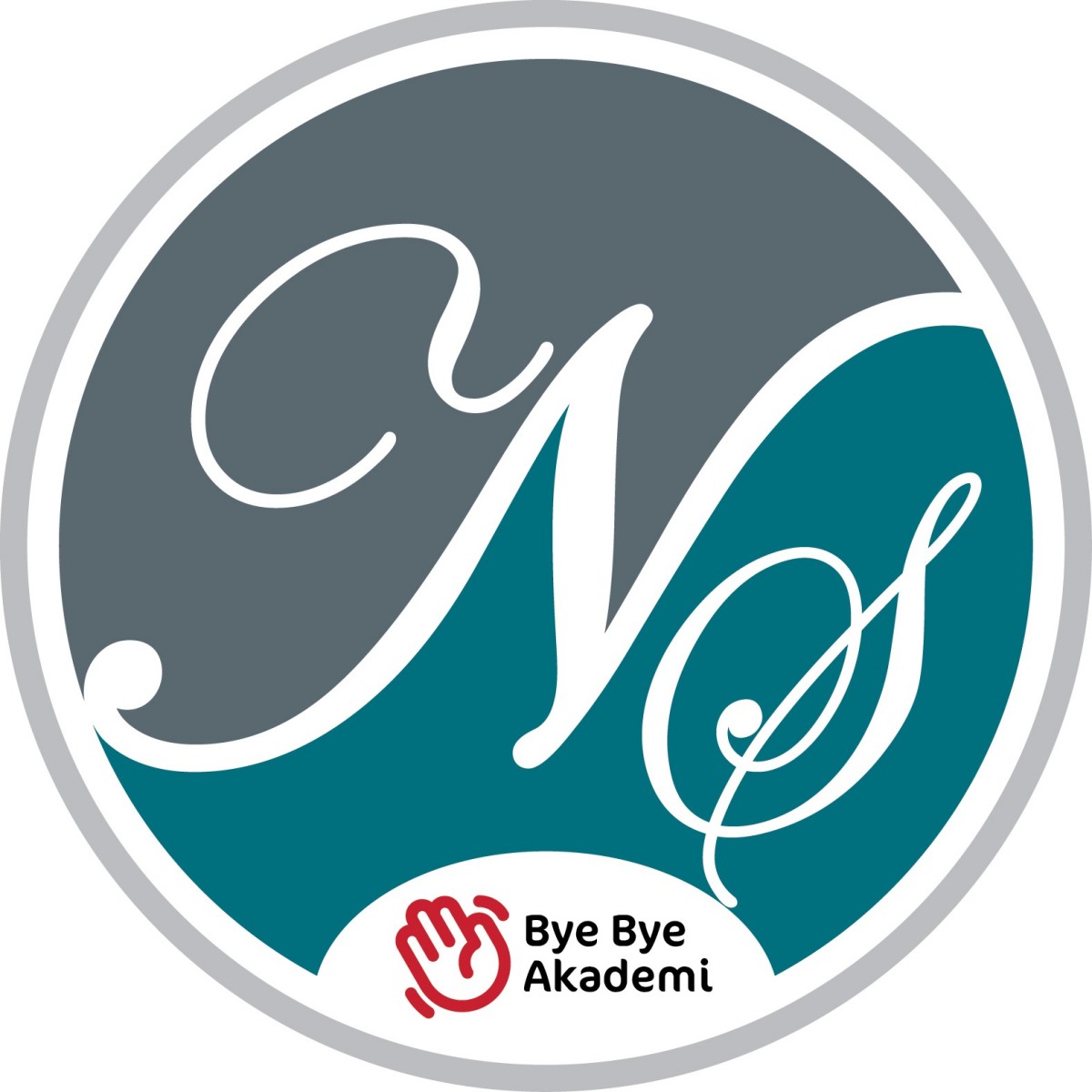 BYE BYE AKADEMİ 3LÜ SET + TARİH + ANAYASA